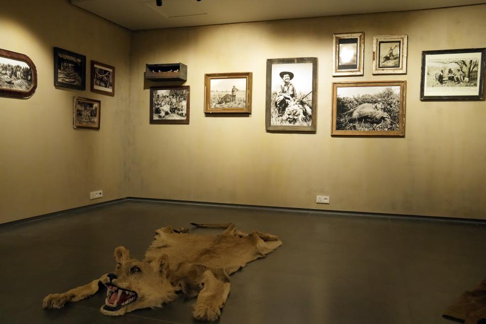 "The Hunter's Room", an installation by artist and photographer Roger Ballen at his Inside Out Centre for the Arts in Johannesburg, South Africa, Wednesday, May 31, 2023. From the killing of elephants in the 18th century that began the ivory trade to the decimation of the rhino population from animal hunting, Ballen argues through his provocative art installations and multimedia artworks that humans remain at the forefront of the destruction of African wildlife. (AP Photo/Themba Hadebe)