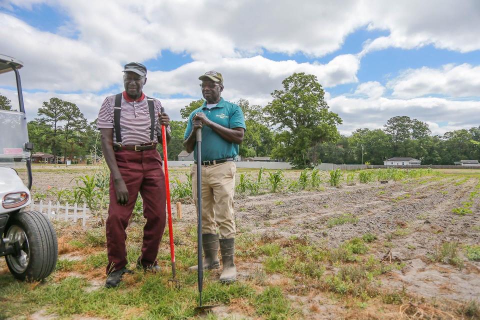 Willie and Robert Johnson own Promised Land Farm in Monteith. They frequently receive offers to purchase their 30-acres of land.