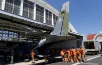 Prague Zoo workers load a container with a Przewalski's horse into a Czech military airplane at Kbely Airport in Prague, Czech Republic, June 19, 2017. REUTERS/David W Cerny