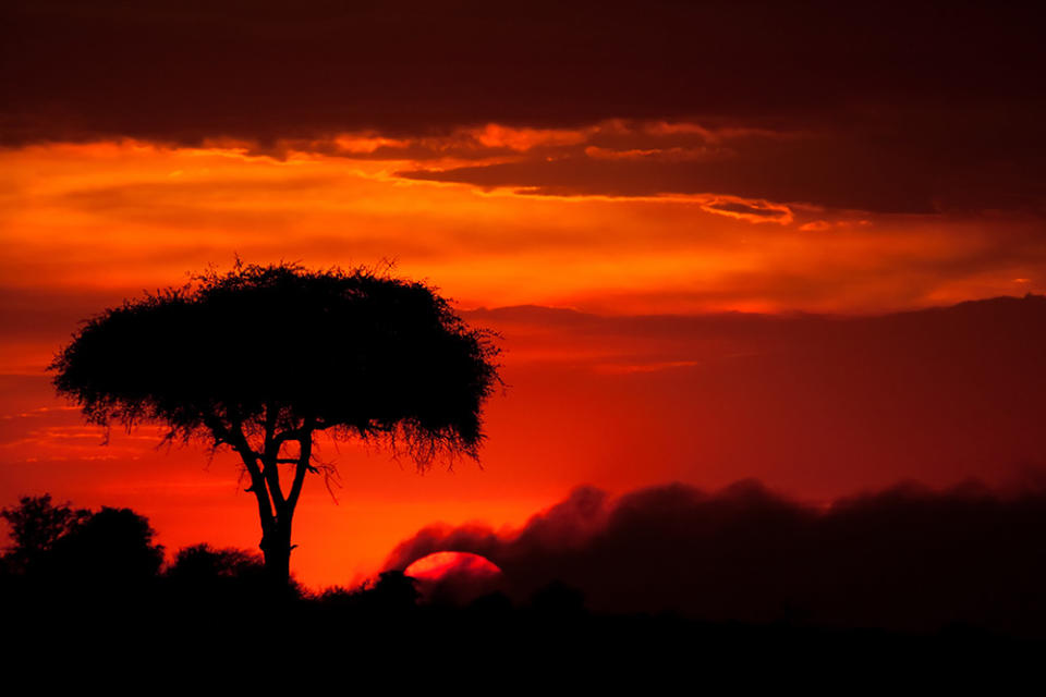 馬賽馬拉（Image Source : Getty Creative/iStockphoto）