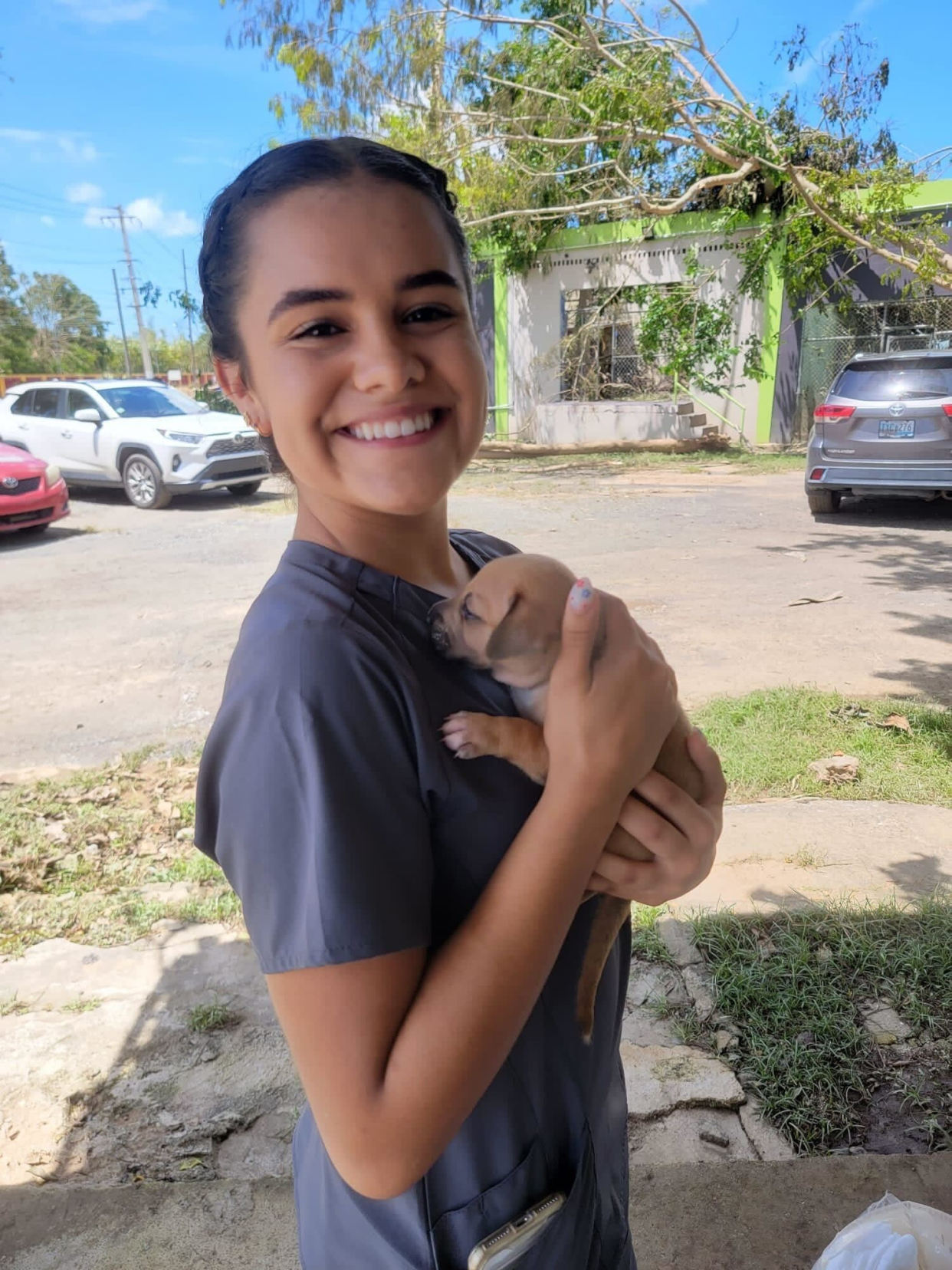 A volunteer holds a rescued puppy after Hurricane Fiona. (Danielle Campoamor)