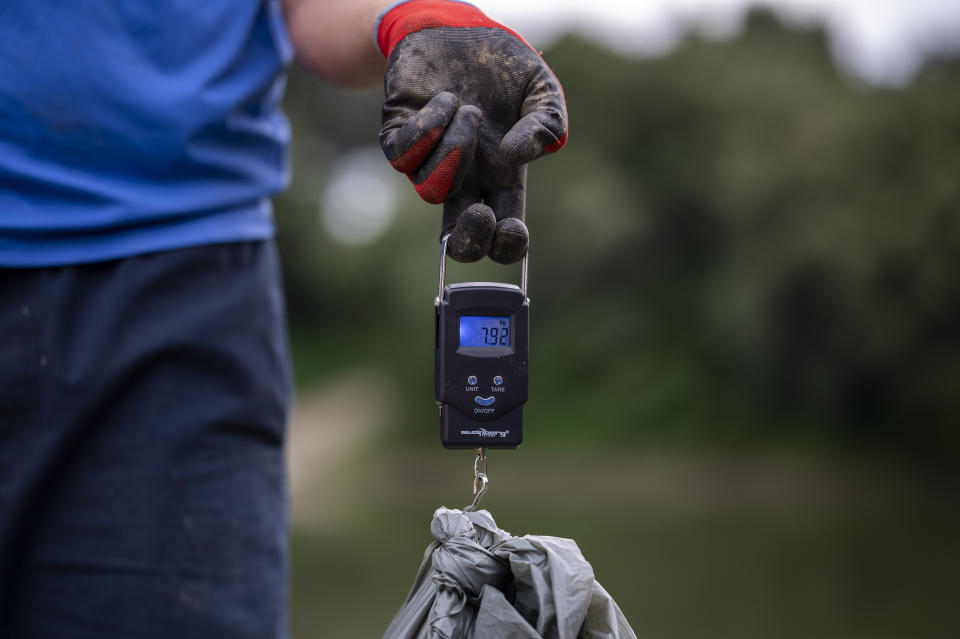 A volunteer uses a hand scale to measure the weight of a bag full of rubbish near Tiszaroff, Hungary, Tuesday, Aug. 1, 2023. The annual Plastic Cup competition has gathered around 330 tons of waste from the Tisza since 2013. Their aim is to preserve Hungary's natural environment, but also to head off a mounting global plastic waste crisis by cutting it off early in the cycle. (AP Photo/Denes Erdos)