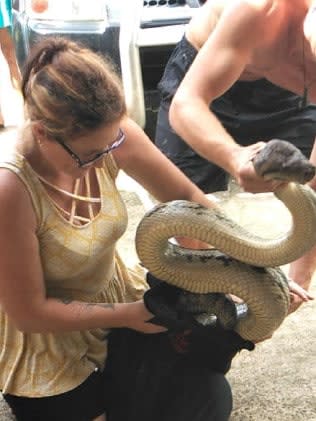 Ms Bear placing the python in the bag at the Mission Beach home. Source: Megan Prouse