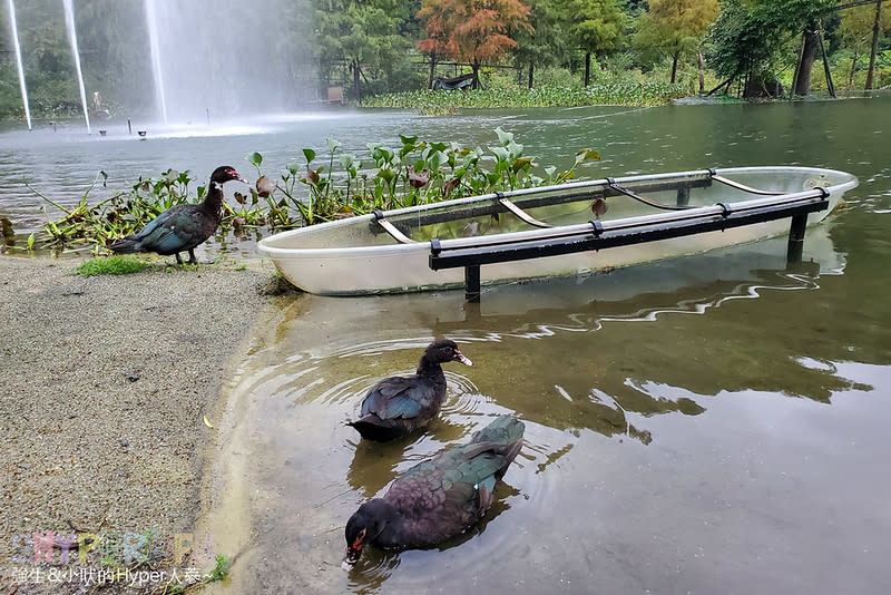 宜蘭員山｜鳳梨屋水上莊園 