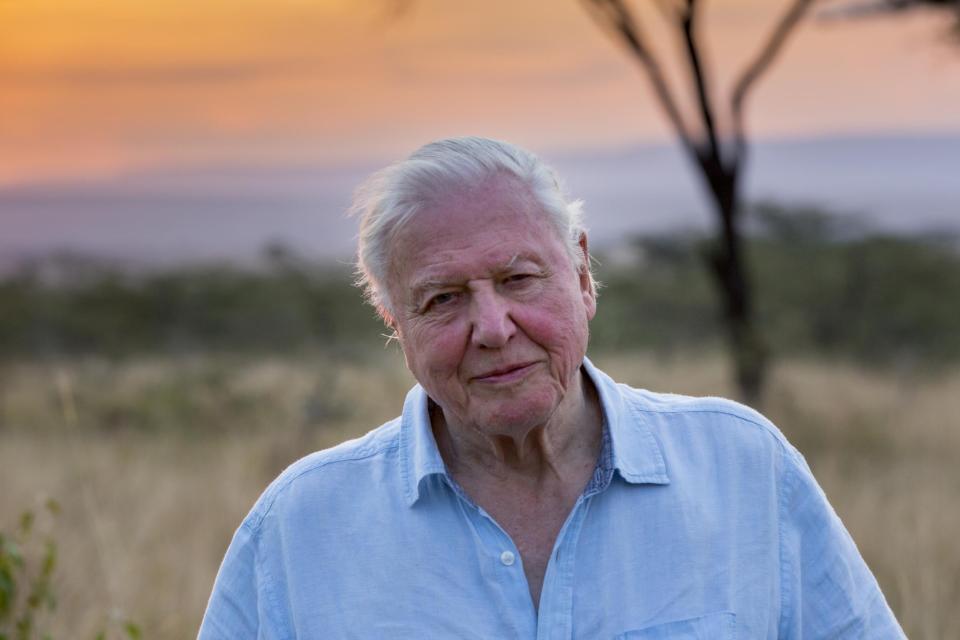 The launch of Attenborough's new film has been postponed (Netflix)