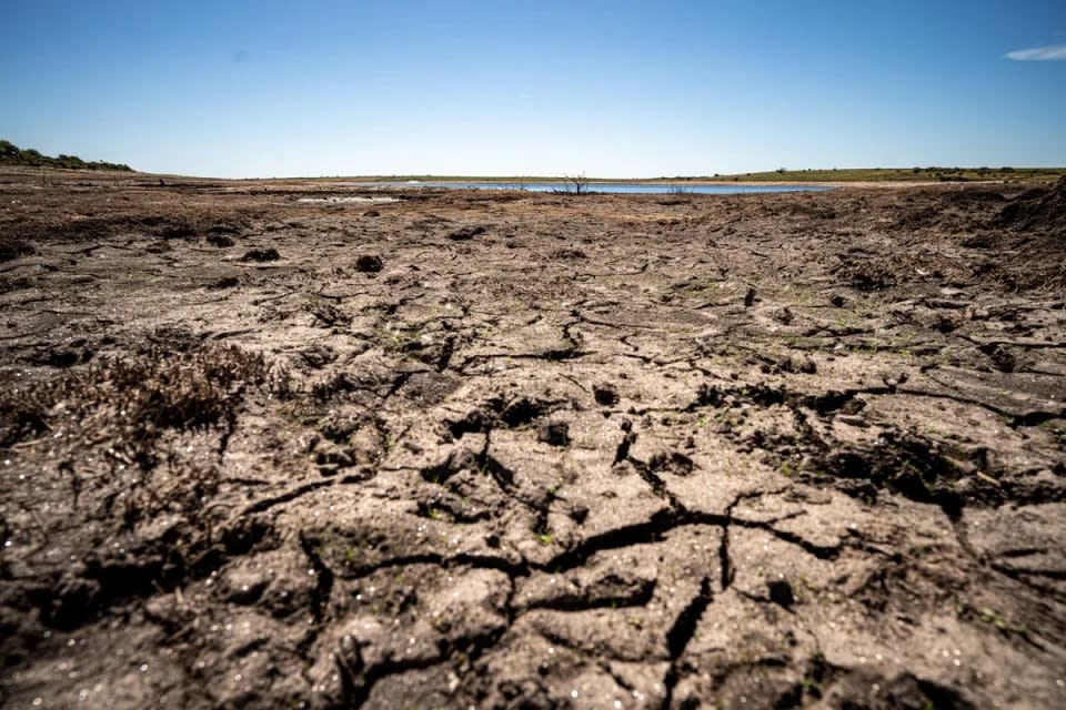 Dried mud and old trees at Colliford Lake, where water levels have severely dropped exposing the unseen trees and rocks at Cornwall’s largest lake and reservoir (PA) 