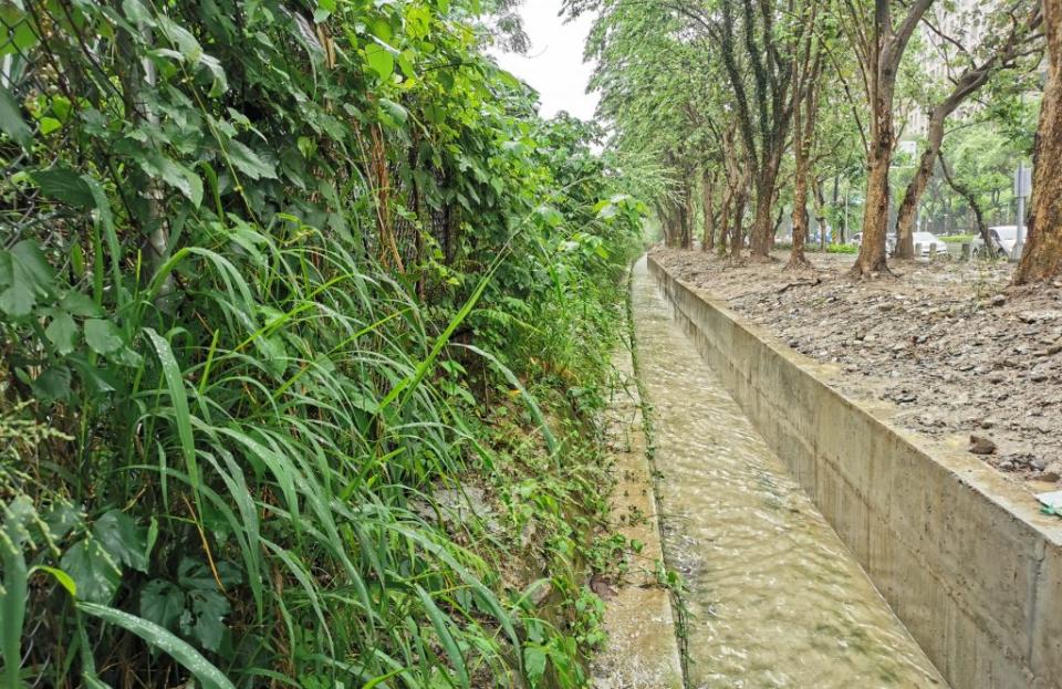 新北市三峽北大特區每遇強降雨積淹水情形。（新北水利局提供）