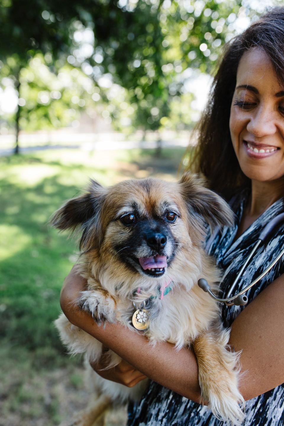 A young dog gets some pets from her owner.