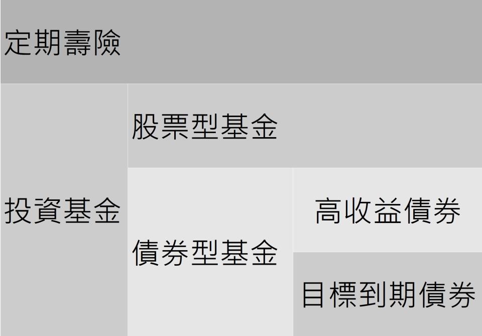 （註：上表只是粗略舉例，實際連結基金之標的，以各保險公司公告為準）