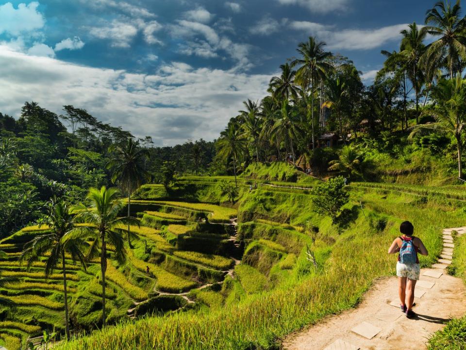 Tegalalang Rice Fields Bali