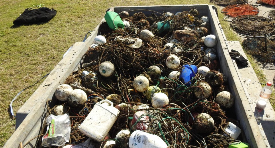 A photo of many crab pots found in in Pumicestone Passage.