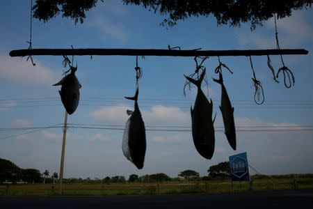 Fish for sell is seen in Paraiso, Tabasco, Mexico April 24, 2018. REUTERS/Carlos Jasso/Files