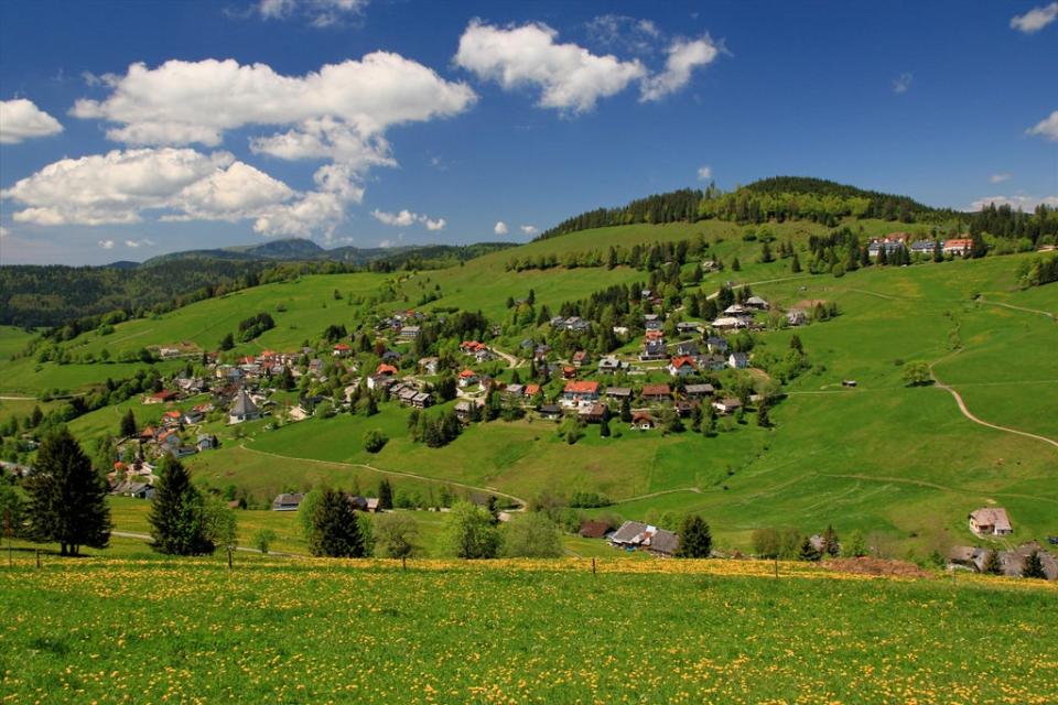 The small village Todtnauberg in the Black Forest region of Germany where Heidegger lived (Alamy)