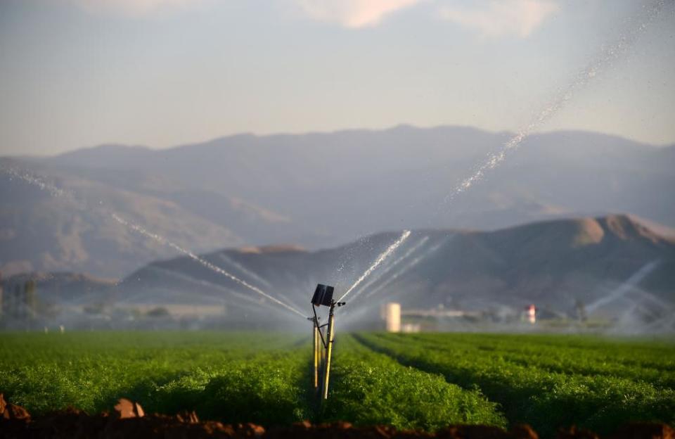 Fields of carrots are watered in Kern County. Farmers have raised concerns about the effects of new drilling on the water and air.