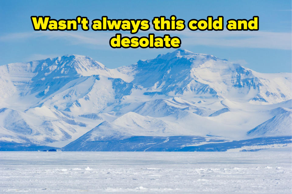 Antarctica with caption "Wasn't always this cold and desolate"
