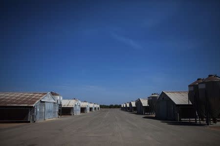 A Foster Farms chicken ranch is pictured near Turlock, California, June 16, 2014. Picture taken June 16, 2014. REUTERS/Max Whittaker