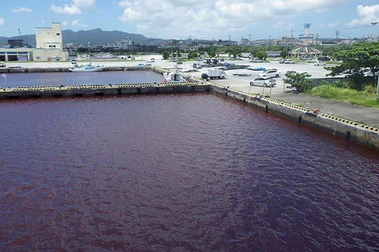 Photo diffusée par le 11e quartier général de la Garde côtière régionale, le 27 juin 2023, montrant une rivière teinte en rouge après la fuite d'un additif inoffensif utilisé par une brasserie, à Nago, sur l'île japonaise d'Okinawa (The 11th Regional Coast Guard Headquarters/AFP - Handout)