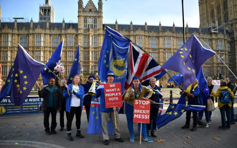 Anti-Brexit demonstrators protest outside parliament as the cabinet meets to decide on a draft deal on Britain's divorce from the European Union