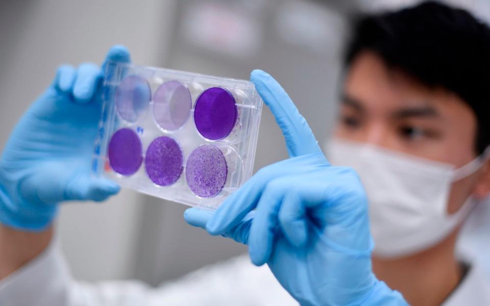 A researcher in Brazil works on virus replication in order to develop a vaccine against the coronavirus - DOUGLAS MAGNO /AFP