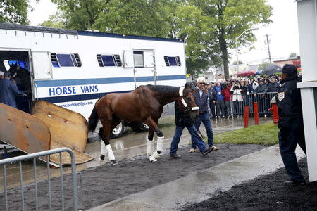 Kentucky Derby and Preakness Stakes winner American Pharoah arrives with trainer Bob Baffert (R) at Belmont Park in Elmont, New York June 2, 2015. REUTERS/Shannon Stapleton