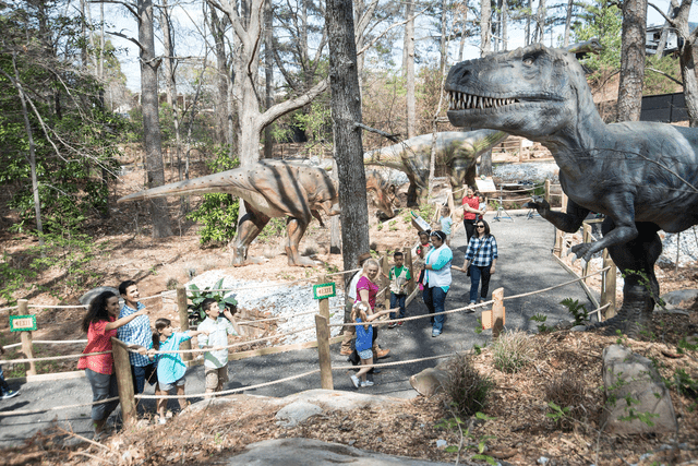 <p>Stone Mountain Park</p>