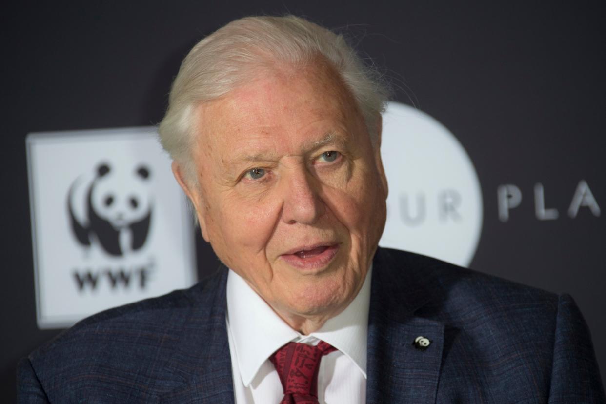 Attenborough is a patron of Population Matters, a charity that campaigns for government efforts to arrest population growth: Joel C Ryan/Invision/AP