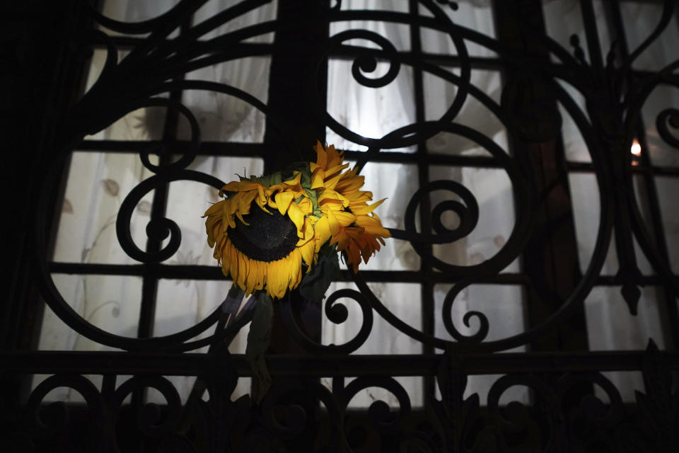Sunflowers hang from the iron gate of a house where three people were killed, in Mexico City, Thursday, Dec. 22, 2022. Actor Andrés Tirado, his musician brother Jorge Tirado and an uncle whose name was not released were found dead Sunday, Dec. 18, all with their throats slashed. Prosecutors said the apparent motive was an ownership dispute over the property. (AP Photo/Marco Ugarte)