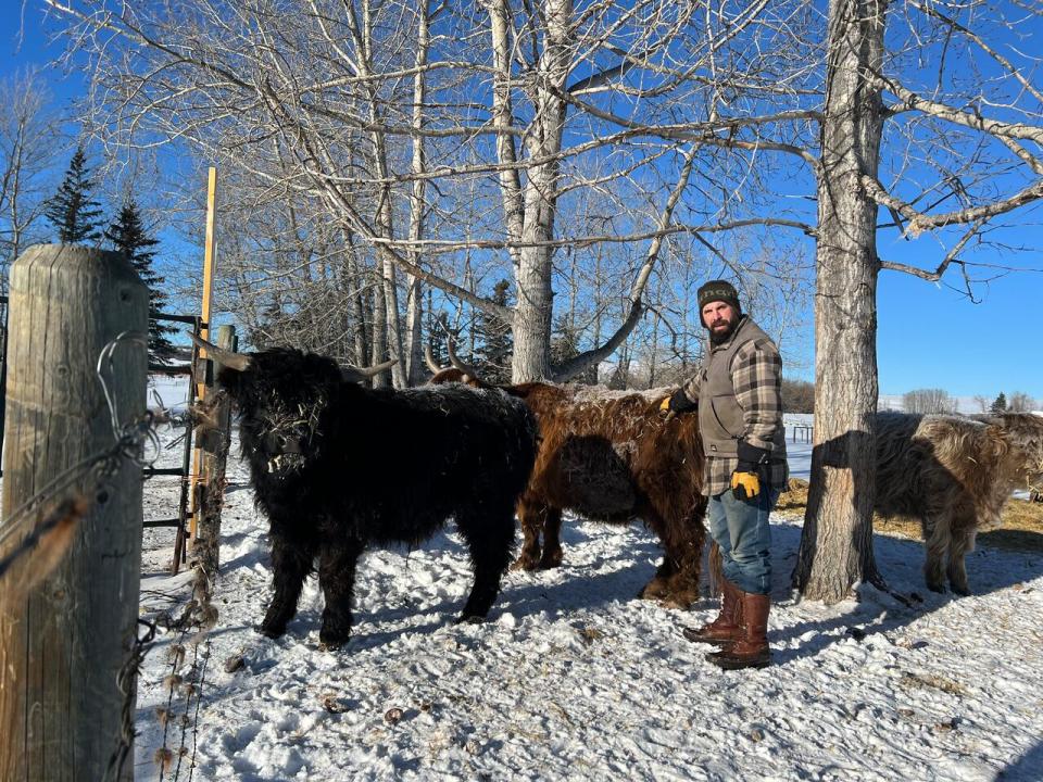Nick Shipley of Hartell Homestead says, during the cold weather, he’s outside more than ever, checking on the herd, making sure they look healthy and have enough bedding and water.
