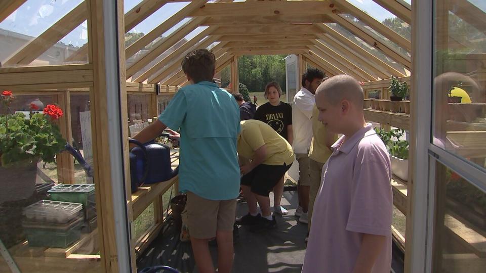 Students at Rock Hill middle school uses repurposed COVID desk shields to build greenhouse