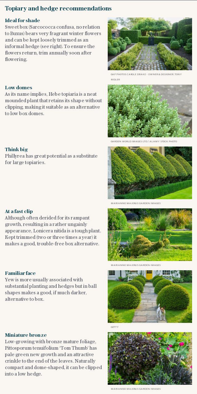 Topiary and hedge recommendations