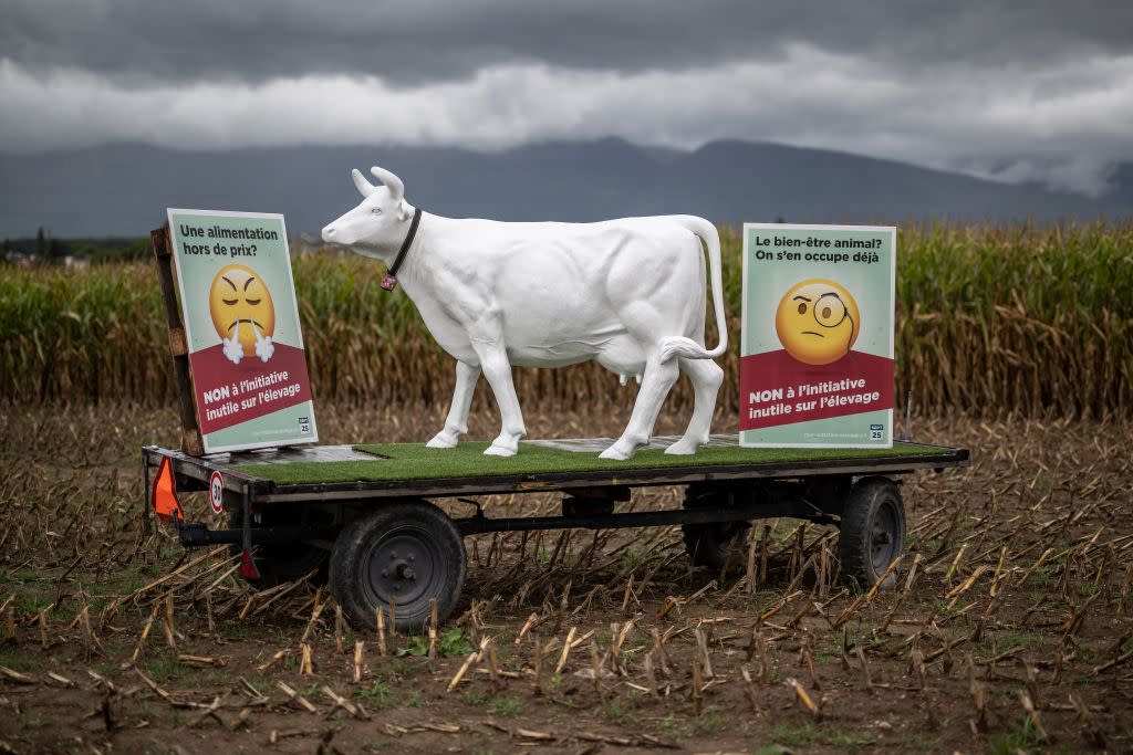 SWITZERLAND-VOTE-ANIMAL-FARMING