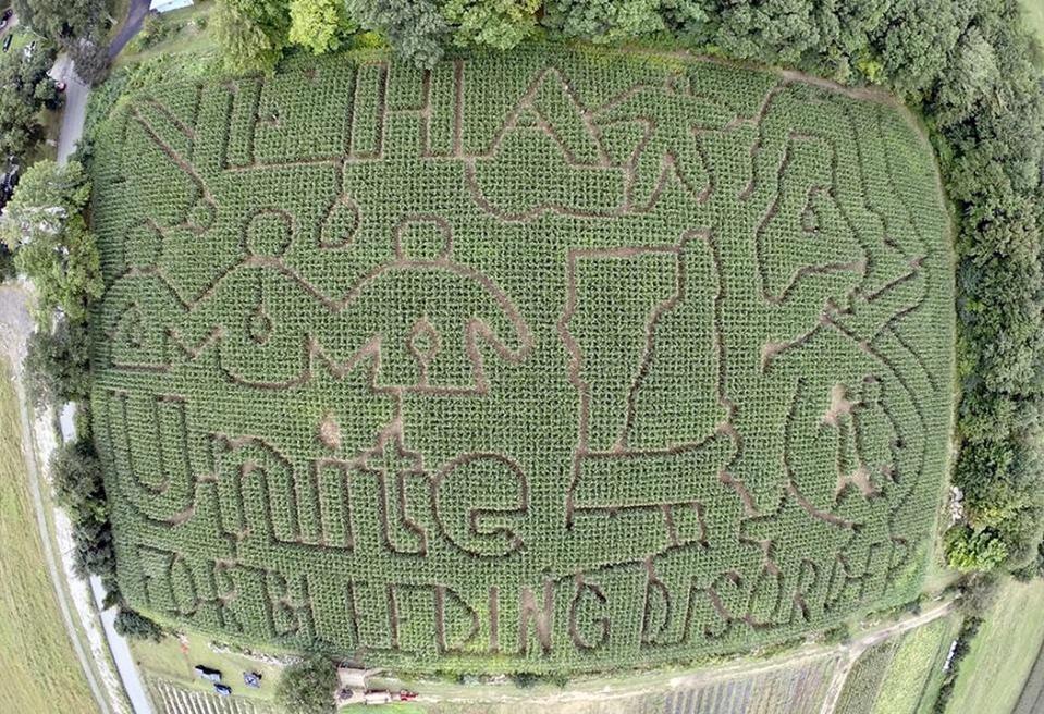 In a past year, a corn maze at Salisbury Farm in Johnston raised awareness of hemophilia and other blood disorders. [Courtesy of Salisbury Farm]