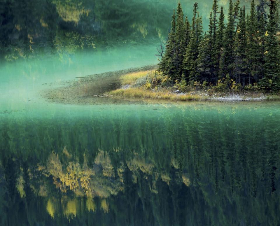 By David Noton: Emerald lake, near Carcross, Yukon territories, Canada.