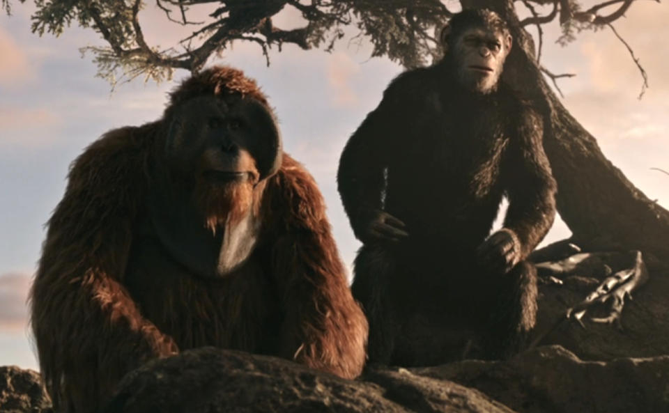 Maurice and Caesar stand together in the sunlight in War of the Planet of the Apes.