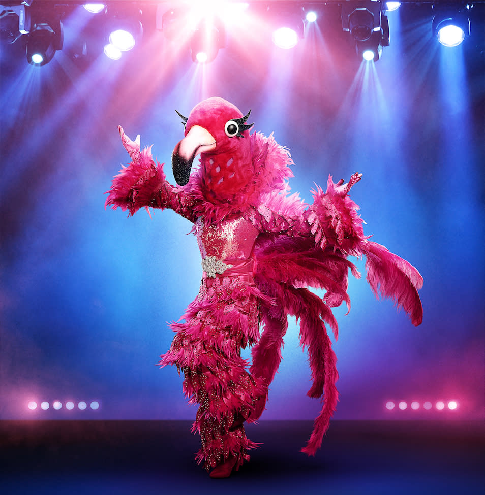 THE MASKED SINGER: The Flamingo. | Michael Becker/FOX