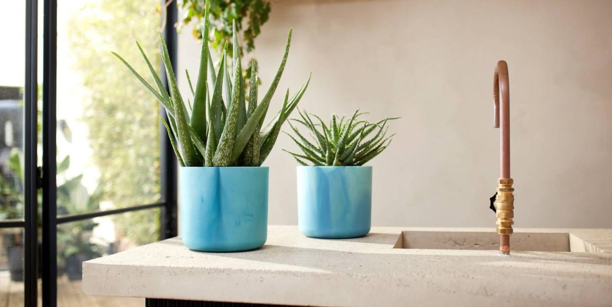 a couple of potted plants on a window sill