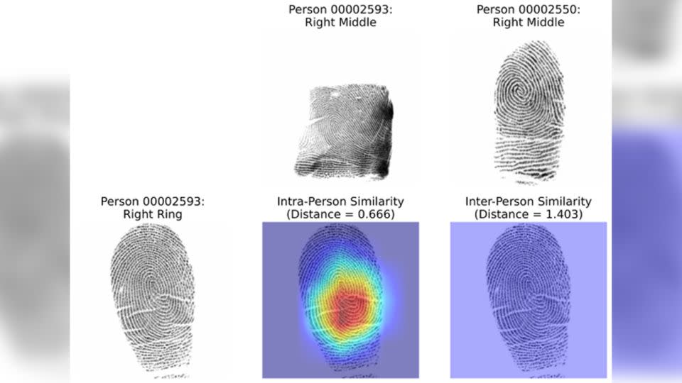 The authors said the system used in the study to identify similarities between fingerprints could be useful in crime scene analysis.  - Gabe Guo/Columbia Engineering