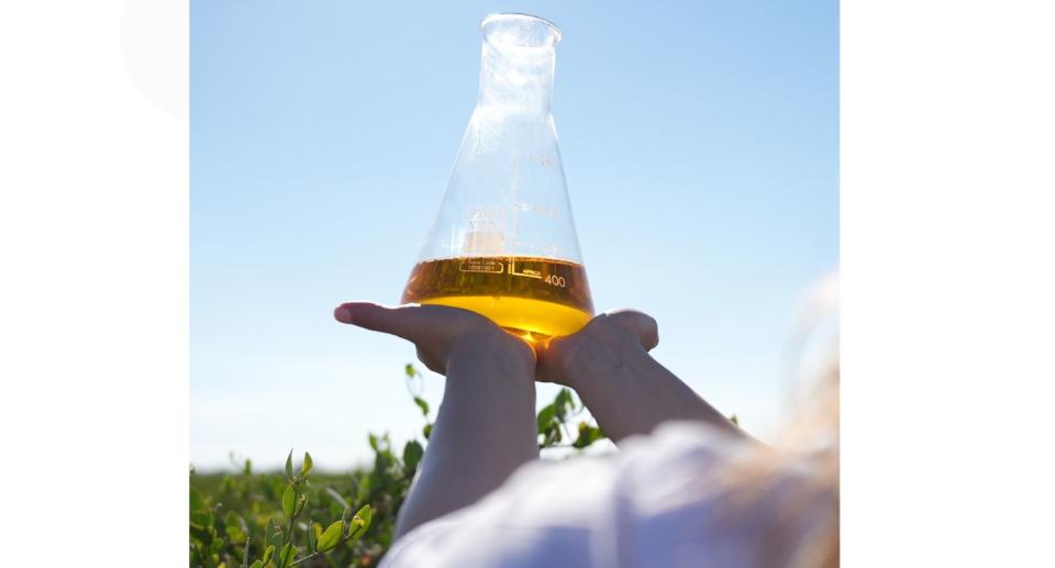 Jojoba oil in carafe