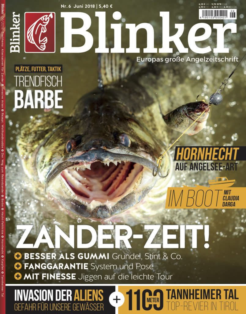 15. Blinker (50.074)