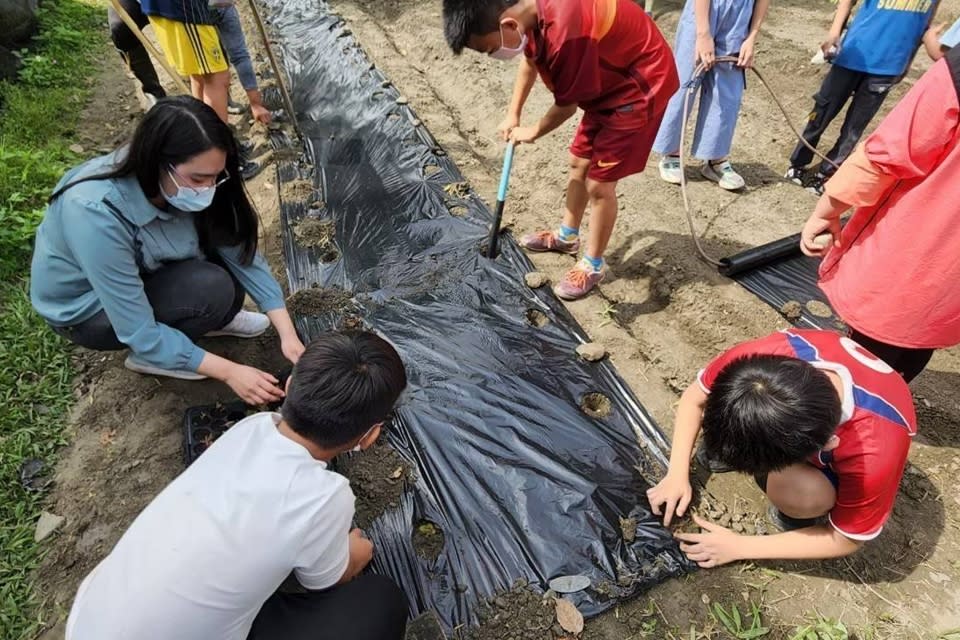 學童在校田種植原住民植物