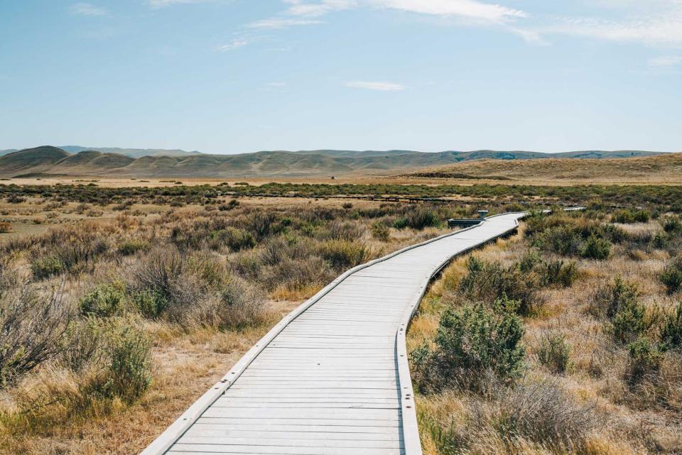 Soda Lake boardwalk, Carrizo Plain National Monument, San Luis Obispo County, California