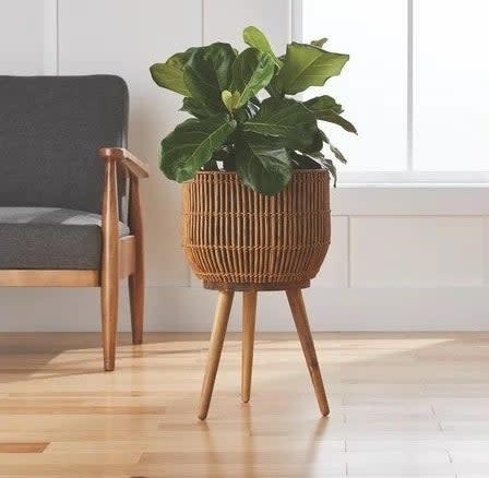 the planter in front of a window with a plant in it