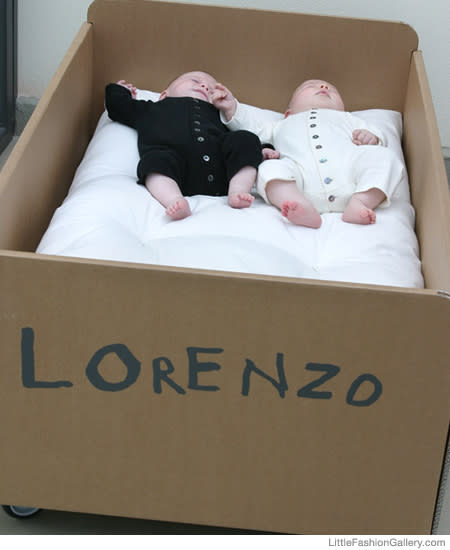 Cardboard Album Customizable Cot