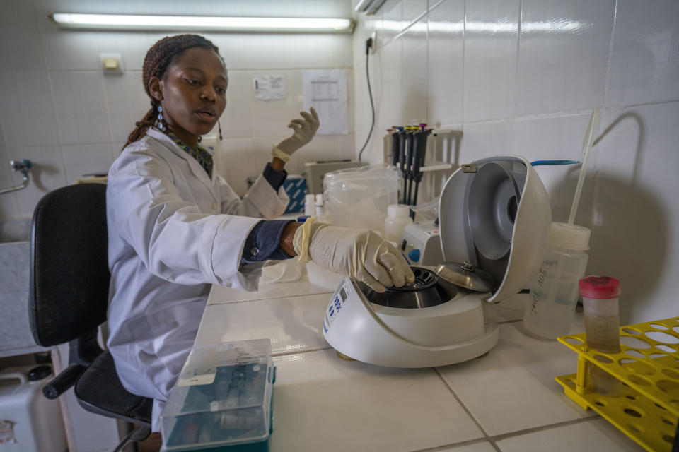 A lab technician prepares a sample of elephant dung from Gabon's Pongara National Park for DNA testing in Libreville on March 11, 2020. Gabon holds about 95,000 African forest elephants, according to results of a survey by the Wildlife Conservation Society and the National Agency for National Parks of Gabon, using DNA extracted from dung. Previous estimates put the population at between 50,000 and 60,000 or about 60% of remaining African forest elephants. (AP Photo/Jerome Delay)