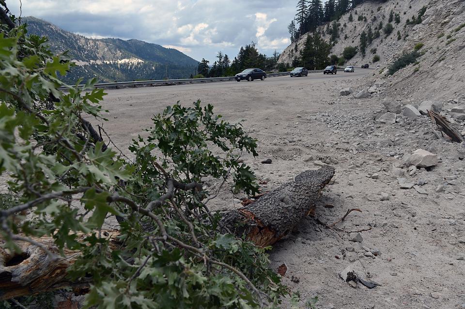 Part of a tree broken lies along State Route 18 after a rockslide blocked the road in the Southern California community of Snow Valley, enroute to Big Bear Lake on Saturday, July 5, 2014, following a widely felt small earthquake.