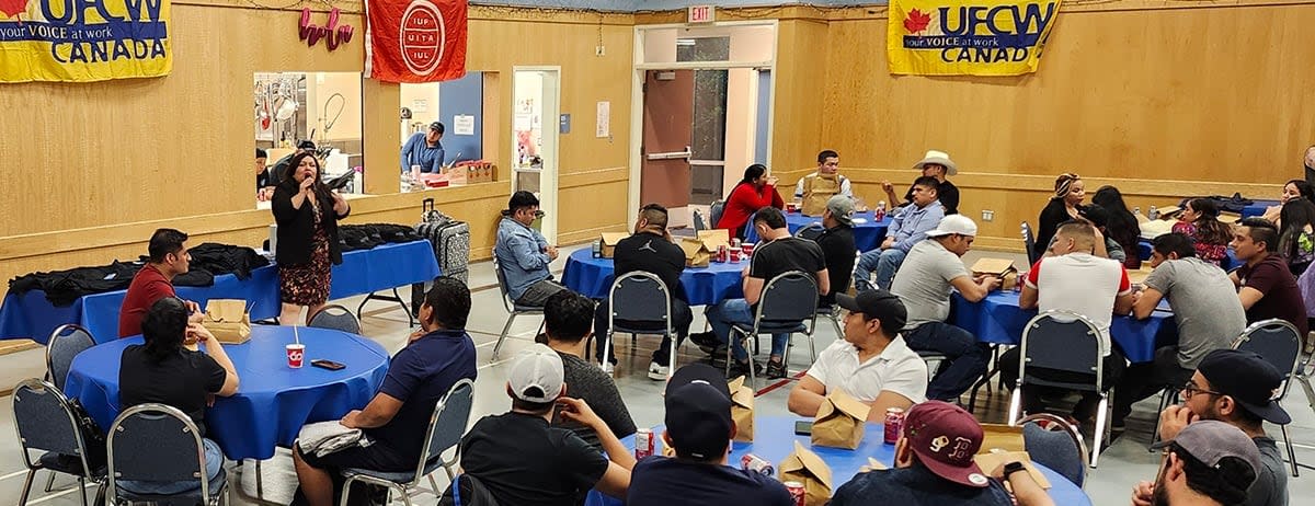 In this handout photo, Highline Mushroom workers gather at a union event in Langley, B.C. (United Food and Commercial Workers 1518 - image credit)