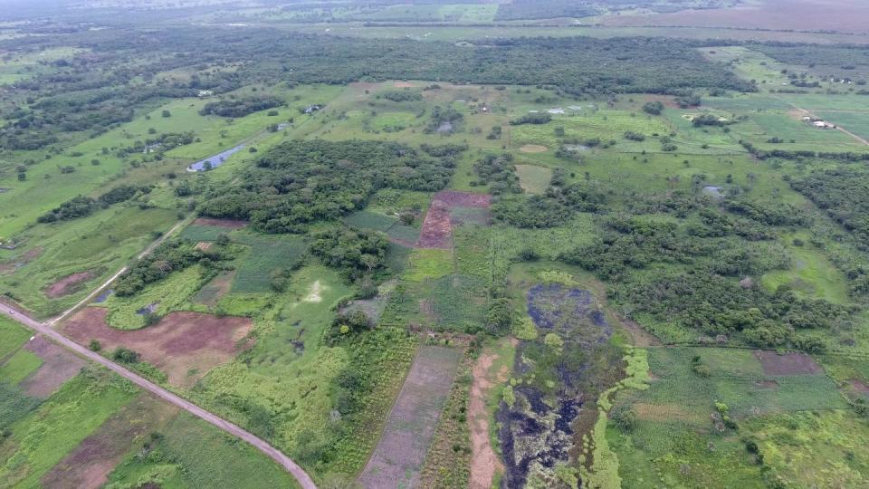 Luftaufnahme von Aguada Fénix mit Dämmen und Stauseen vorne und dem Hauptplateau hinten. Im Süden von Mexiko haben Archäologen die älteste und gleichzeitig größte bisher bekannte Monumentalanlage der Maya entdeckt.