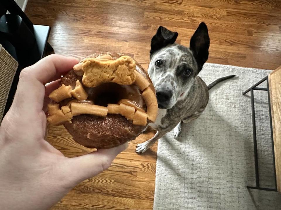 The Salty Donut offers peanut butter-flavored Doggy Donuts with peanut butter glaze, topped with yogurt cream and a homemade milk bone.