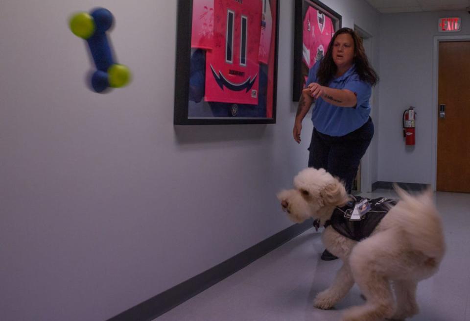 Dispatch operator Valarie Hall plays with Tucker, an in-house therapy dog, by throwing a toy down a long hallway at the AMR South Mississippi office in Gulfport on Dec. 1, 2021. "He really loves this hallway," Hall says of Tucker. "It's long, so he can chase things."