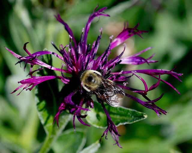 When I garden, I remember how much I don't know